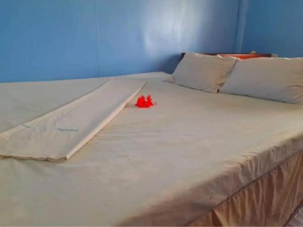 Mana Lagoon Backpackers Zewnętrze zdjęcie
